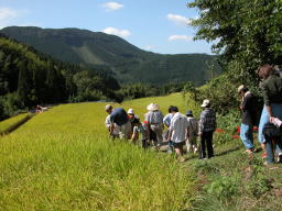 棚田めぐり